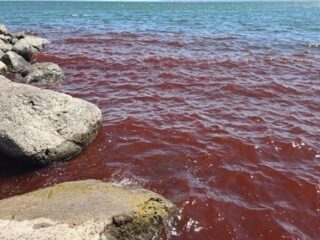「不吉な前兆か」奇跡の湖“ガリラヤ湖”が不気味な真紅に… 聖書の“終末預言”が現実となるのか