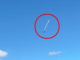 【動画あり】上空を無音で切り裂く“謎の白い飛行物体”、愛犬との日常ビデオに映り込んだ高速飛行UFOの正体とは