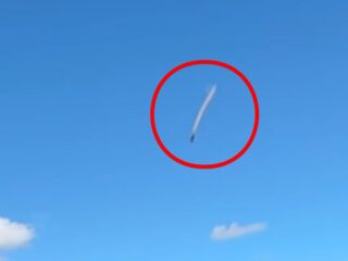 【動画あり】上空を無音で切り裂く“謎の白い飛行物体”、愛犬との日常ビデオに映り込んだ高速飛行UFOの正体とは