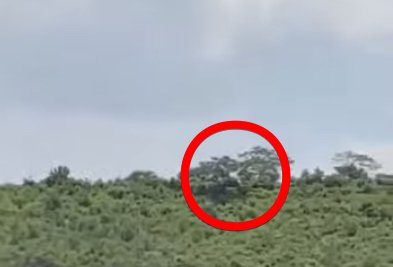 【動画】UFOの聖地で撮影された“謎の光”が不気味すぎると話題に＝メキシコの画像1