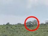 【動画】UFOの聖地で撮影された“謎の光”が不気味すぎると話題に