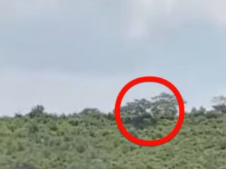 【動画】UFOの聖地で撮影された“謎の光”が不気味すぎると話題に