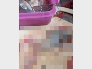 【閲覧注意】巨大ナマズの腹から“人間の手”？ 釣り人が遭遇した戦慄のミステリー