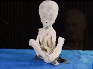 宇宙人か、地底人か、人間か、それとも“偽物”か… ペルーの3本指ミイラの正体をめぐり、科学界が大激論