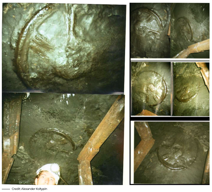 3億年前の地層から“車輪の跡”? 炭鉱で発見された人類史を覆すオーパーツの謎の画像1