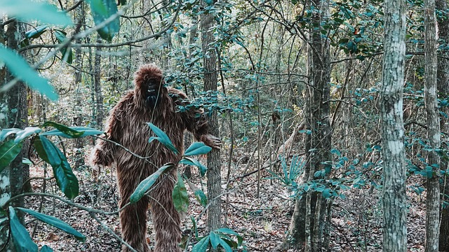 ビッグフットの遺体、ついに発見！？専門家が「デマだ」と断罪する“世紀の発見”がお祭りで有料公開への画像1