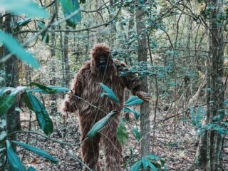 ビッグフットの遺体、ついに発見！？専門家が「デマだ」と断罪する“世紀の発見”がお祭りで有料公開へ