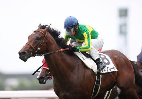 秋G1開幕！JRAスプリンターズステークスは世紀の決戦に！“日本の短距離王と香港の短距離王が激突！”の画像1