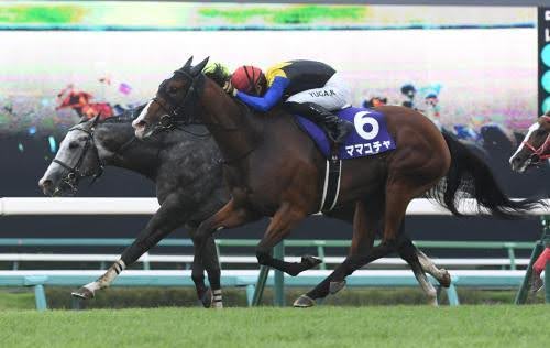 秋G1開幕!JRAスプリンターズステークスは世紀の決戦に!“日本の短距離王と香港の短距離王が激突!”の画像3