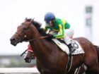 秋G1開幕!JRAスプリンターズステークスは世紀の決戦に!“日本の短距離王と香港の短距離王が激突!”