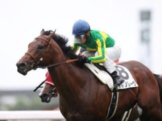秋G1開幕！JRAスプリンターズステークスは世紀の決戦に！“日本の短距離王と香港の短距離王が激突！”