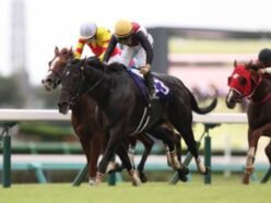 年間1000万円以上の勝ち組も？レジェンドが教える一攫千金の秘訣を公開。チャンスは週末の1日だけ！