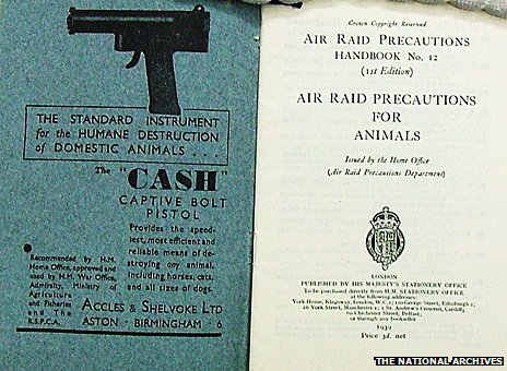 英国史に刻まれた悲劇「ペット大虐殺」― なぜ75万匹の愛する命は飼い主の手で殺されねばならなかったのかの画像2