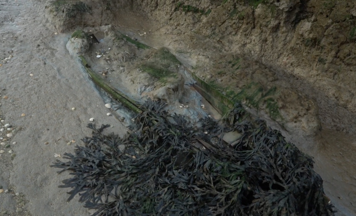 上陸を許されぬ“禁断の島”、実在する「死者の島(デッドマンズ・アイランド)」― その悲しい歴史とはの画像4