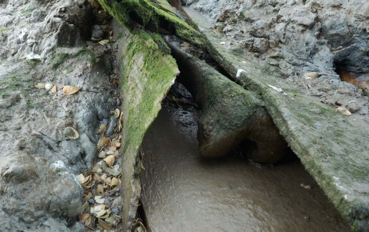 上陸を許されぬ“禁断の島”、実在する「死者の島(デッドマンズ・アイランド)」― その悲しい歴史とはの画像3