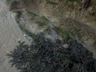 上陸を許されぬ“禁断の島”、実在する「死者の島（デッドマンズ・アイランド）」― その悲しい歴史とは