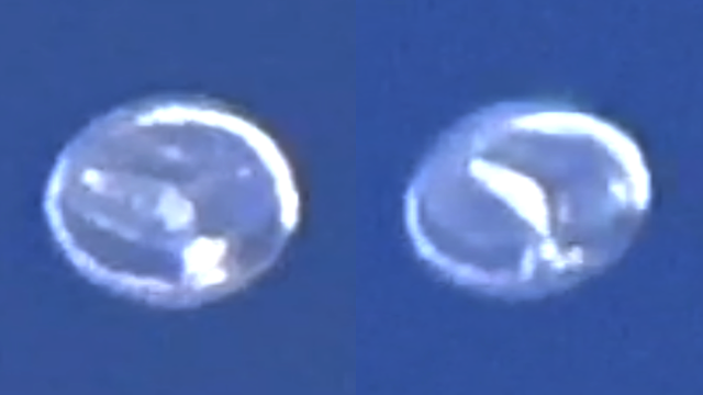 謎の「クラゲ型UFO」が同時多発? UFO専門家が捉えた衝撃の映像と“不可解な現象”の画像1