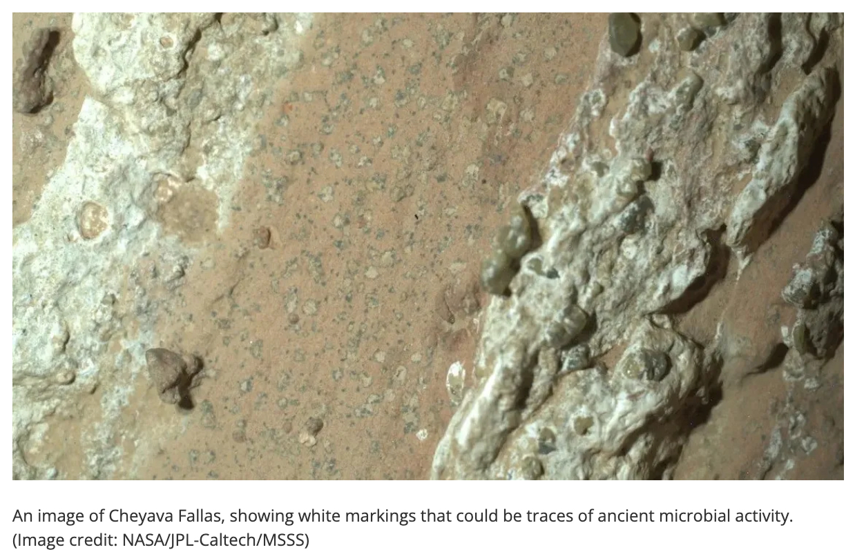 NASA「火星の生命の痕跡、これまでで最も明確な兆候を発見」―探査車が捉えた“まだらの岩”の謎の画像2