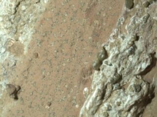 NASA「火星の生命の痕跡、これまでで最も明確な兆候を発見」―探査車が捉えた“まだらの岩”の謎