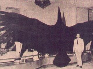 現代に現れた“翼竜”と“伝説のサンダーバード” ― 絶滅したはずの巨大生物はまだ生きているのか？