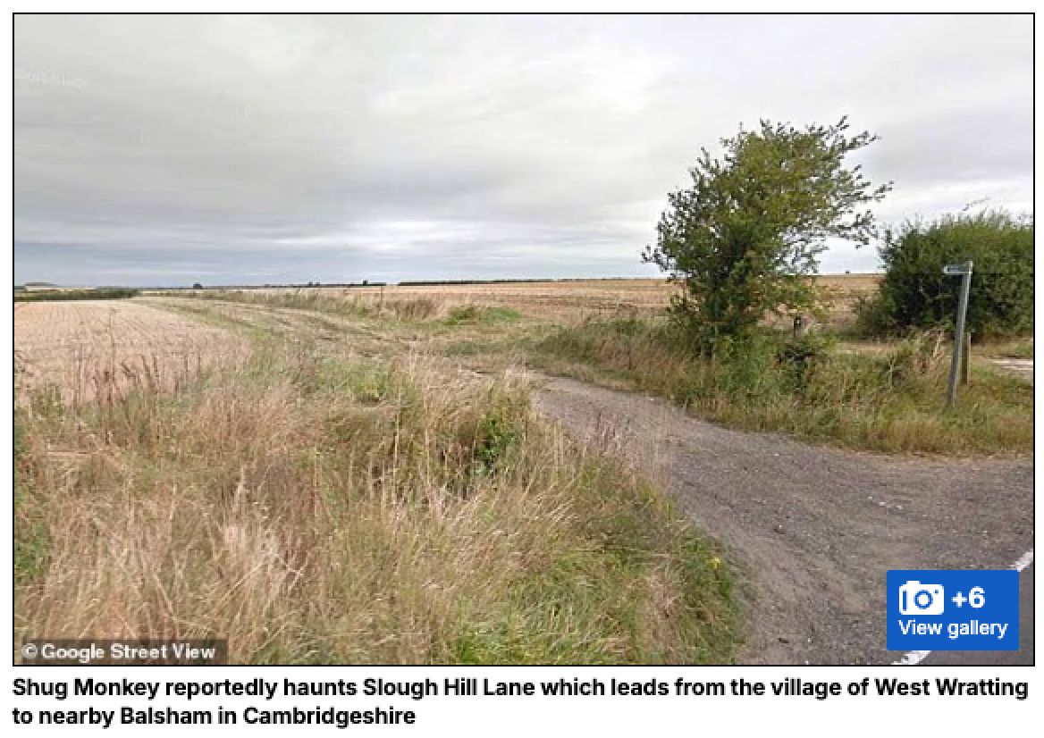 身長2.4m、燃える赤い目… 100年間、人々を恐怖に陥れてきた伝説の怪物「シャグ・モンキー」は実在するのか?の画像2