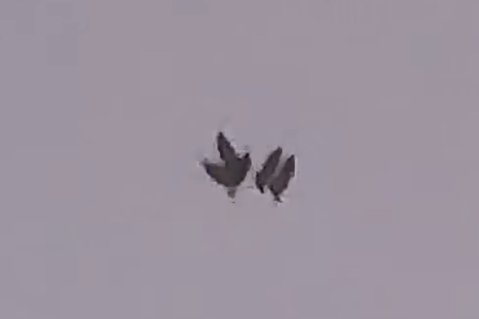 米上空に“鳥型UFO”編隊が出現 ― 2機の謎の物体を従え飛行、その正体とは… かつては日本でも“騎士型”の異形UFOが!の画像1
