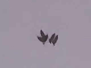 米上空に“鳥型UFO”編隊が出現 ― 2機の謎の物体を従え飛行、その正体とは… かつては日本でも“騎士型”の異形UFOが！