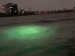 【衝撃】米沿岸に9000件以上の“水中UFO＝USO”が出現 ― 専門家が警告する「宇宙人侵略」と国防総省の“不気味な沈黙”