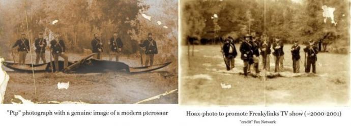 南北戦争時代に撮影された“翼竜”の写真 ― それは本物か、巧妙なフェイクか？ 意外な結末とはの画像1