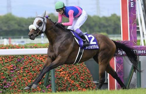 天皇賞(秋)は史上稀に見る大混戦!初心者必見の【隠れ穴馬&馬連3点勝負】で一攫千金を狙え!の画像1