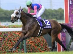 天皇賞（秋）は史上稀に見る大混戦！初心者必見の【隠れ穴馬＆馬連3点勝負】で一攫千金を狙え！