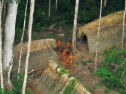 “沈黙のジェノサイド” ― 現代文明を拒む「未接触部族」196部族が絶滅の危機に瀕している