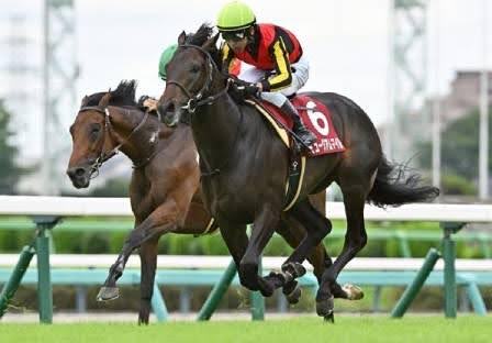 “昨年は341万円獲得”驚異の錬金術が導く勝ち組への道。天皇賞(秋)でイクイノックス級最強馬誕生か?の画像2