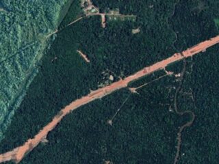 気候変動サミット（COP30）のためにアマゾンの“熱帯雨林10万本を伐採” ― 環境保護を語るための“最悪の環境破壊”に世界が激怒