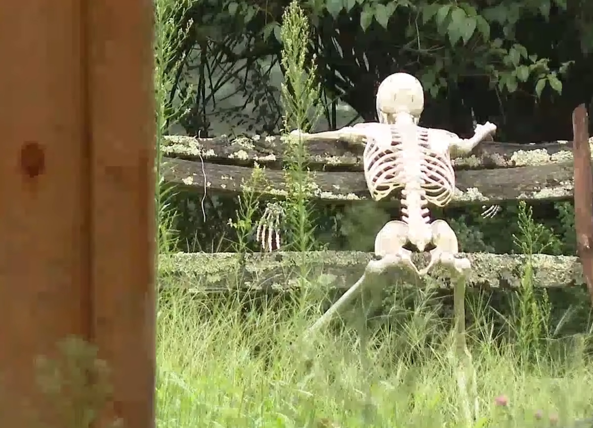 映画『死霊館』の“呪われた家”、人気YouTuberが「借金のカタ」に差し押さえる権利を購入 ― 前代未聞の“呪いの家”争奪戦が勃発の画像2