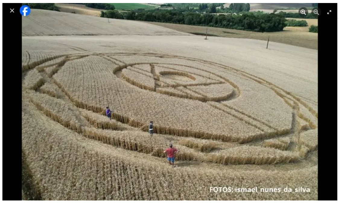 もう少し頑張れなかったのか…？ ブラジルのミステリーサークル、あまりの“やっつけ仕事”に専門家も苦笑の画像2