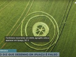 もう少し頑張れなかったのか…？ ブラジルのミステリーサークル、あまりの“やっつけ仕事”に専門家も苦笑