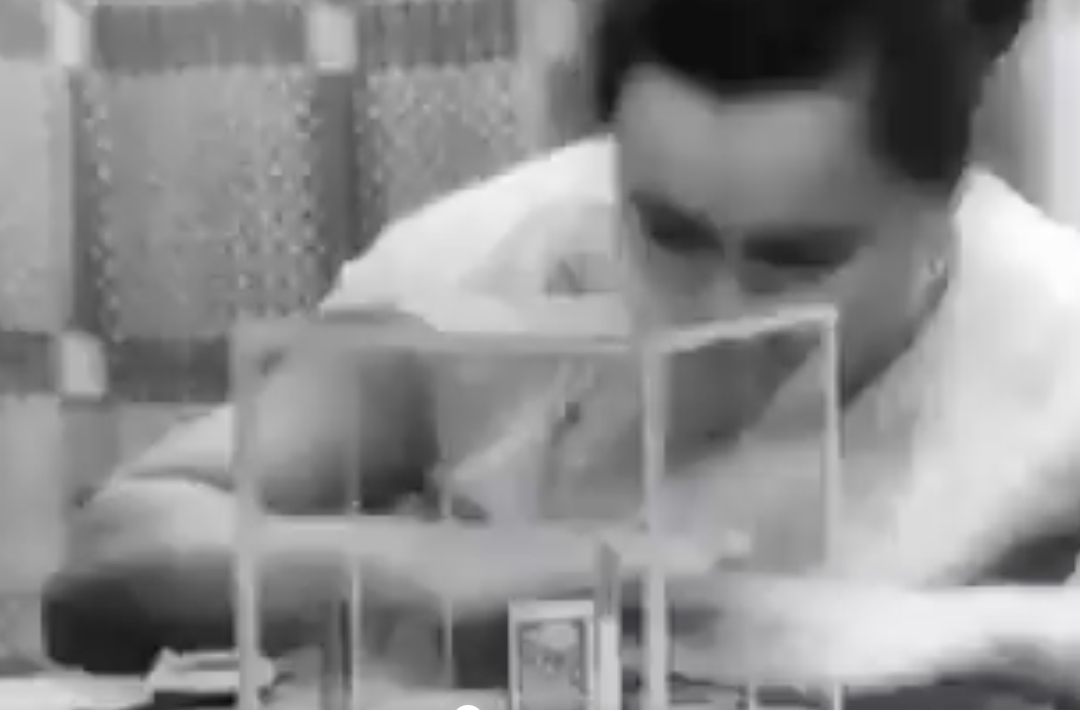 カエルの心臓を“念力”で止めた女 ― 米ソ冷戦下で繰り広げられた“超能力スパイ戦争”と、ソ連が生んだ最強のサイキック兵器「ニーナ・クラギーナ」の画像3