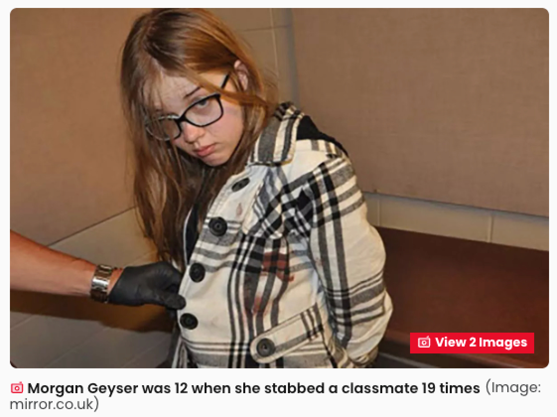 都市伝説「スレンダーマン」に捧げるため友人を19回刺した元少女、収容施設から逃走中の画像3