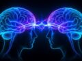 人間の脳は“テレパシー”を使っていた！？