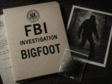 FBIが真面目に検証した「ビッグフットの毛髪サンプル」の鑑定結果