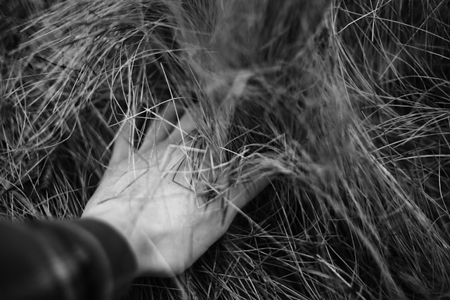 人類に隠された“第七感”、触らずに物体を探知する能力がAIロボットを超えるの画像2