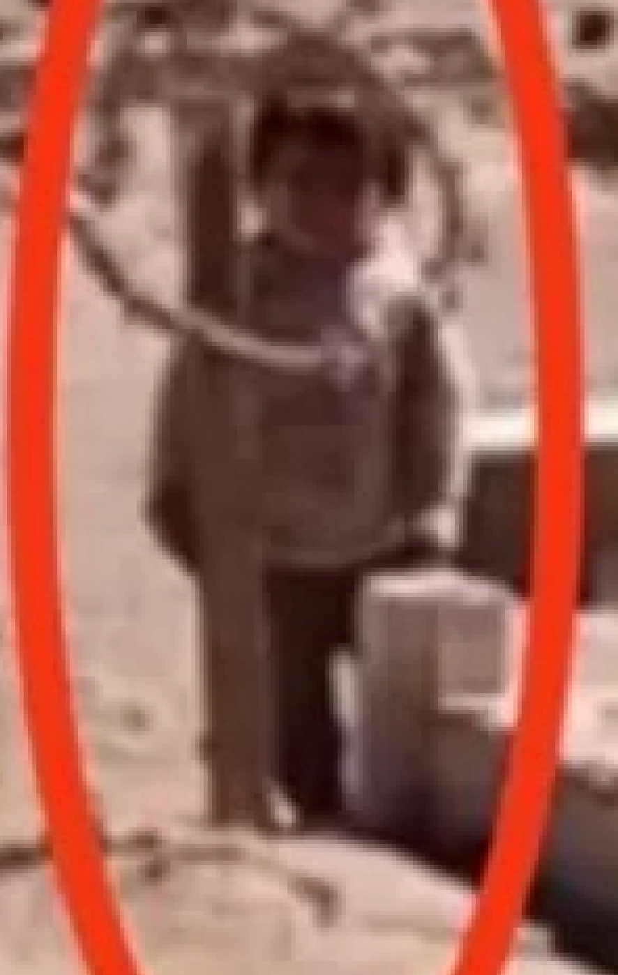 【心霊写真】墓地で撮影されたのは「50年前の子供」の亡霊なのか… 作業員の後ろに佇む謎の少年の正体とは＝チリの画像2