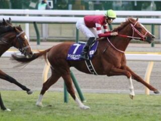 1着賞金5億円のビッグイベント最強馬決定戦ジャパンカップ！10年連続的中の最強集団が推す注目穴馬はコレだ！