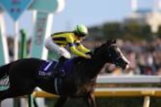 1着賞金5億円のビッグイベント最強馬決定戦ジャパンカップ！10年連続的中の最強集団が推す注目穴馬はコレだ！の画像2