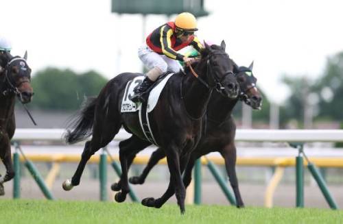 1着賞金5億円のビッグイベント最強馬決定戦ジャパンカップ！10年連続的中の最強集団が推す注目穴馬はコレだ！の画像3