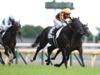 10年連続的中は奇跡か本物か？ジャパンカップで儲けたいならこの情報をチェック！【◎○▲（本命・対抗・単穴）】無料公開！