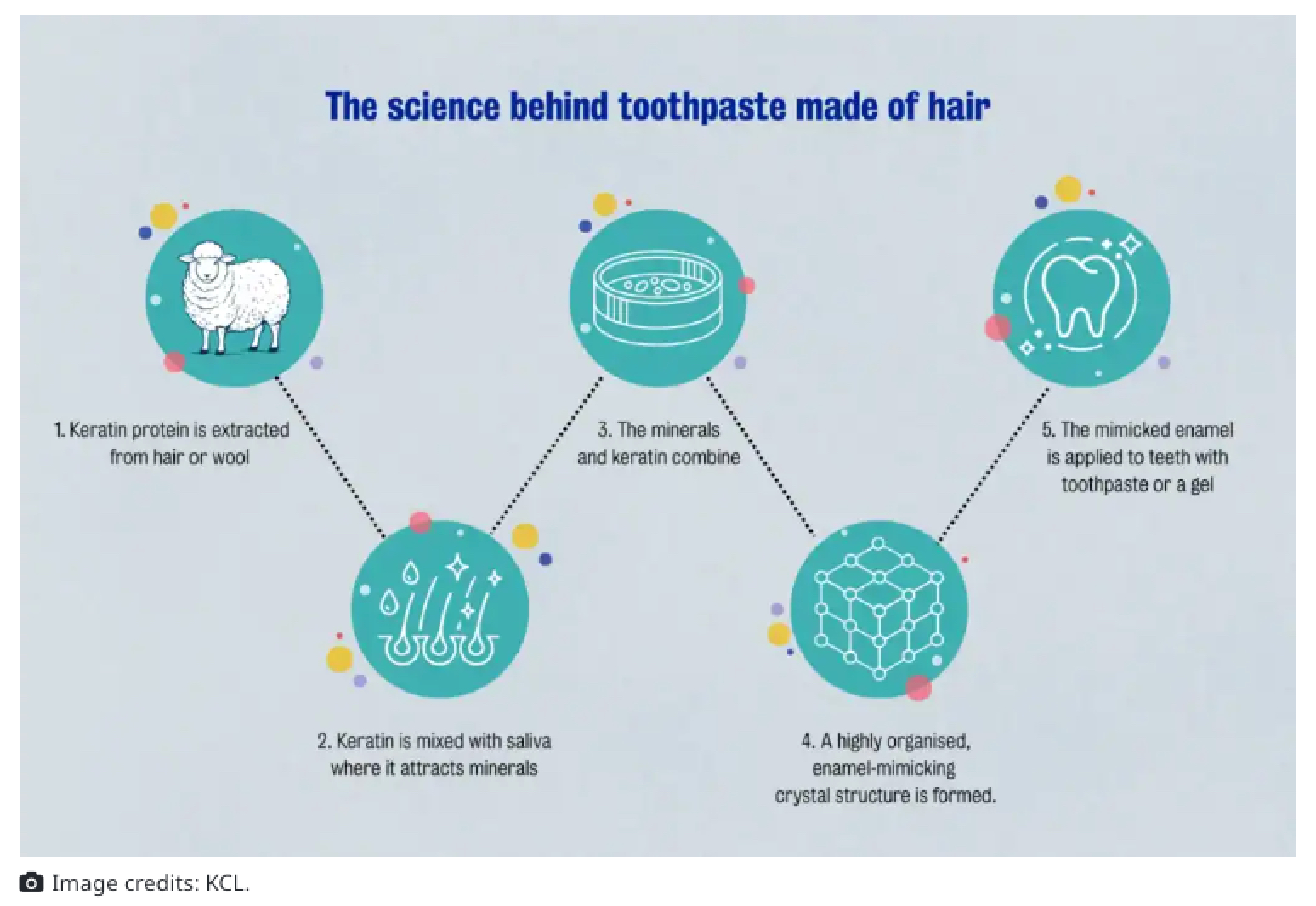 歯は“自己修復”する時代へ！ “髪の毛のタンパク質”に着想を得た新技術で失われたエナメル質が再生するの画像2