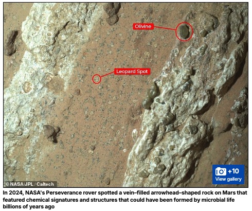 2075年までに人類は“未知との遭遇”を果たす！？ 科学者が断言するエイリアン発見の未来の画像3