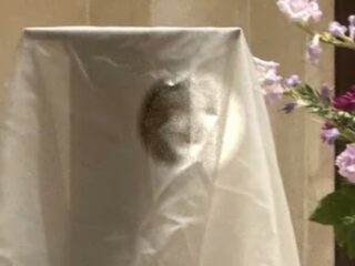 【奇跡】ミサ中の教会に「聖母マリアの顔」が出現！？パレイドリアか、それとも天からのメッセージか